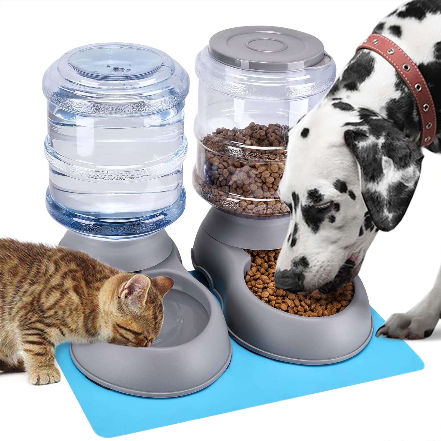 automatic pet feeder for 2 cats