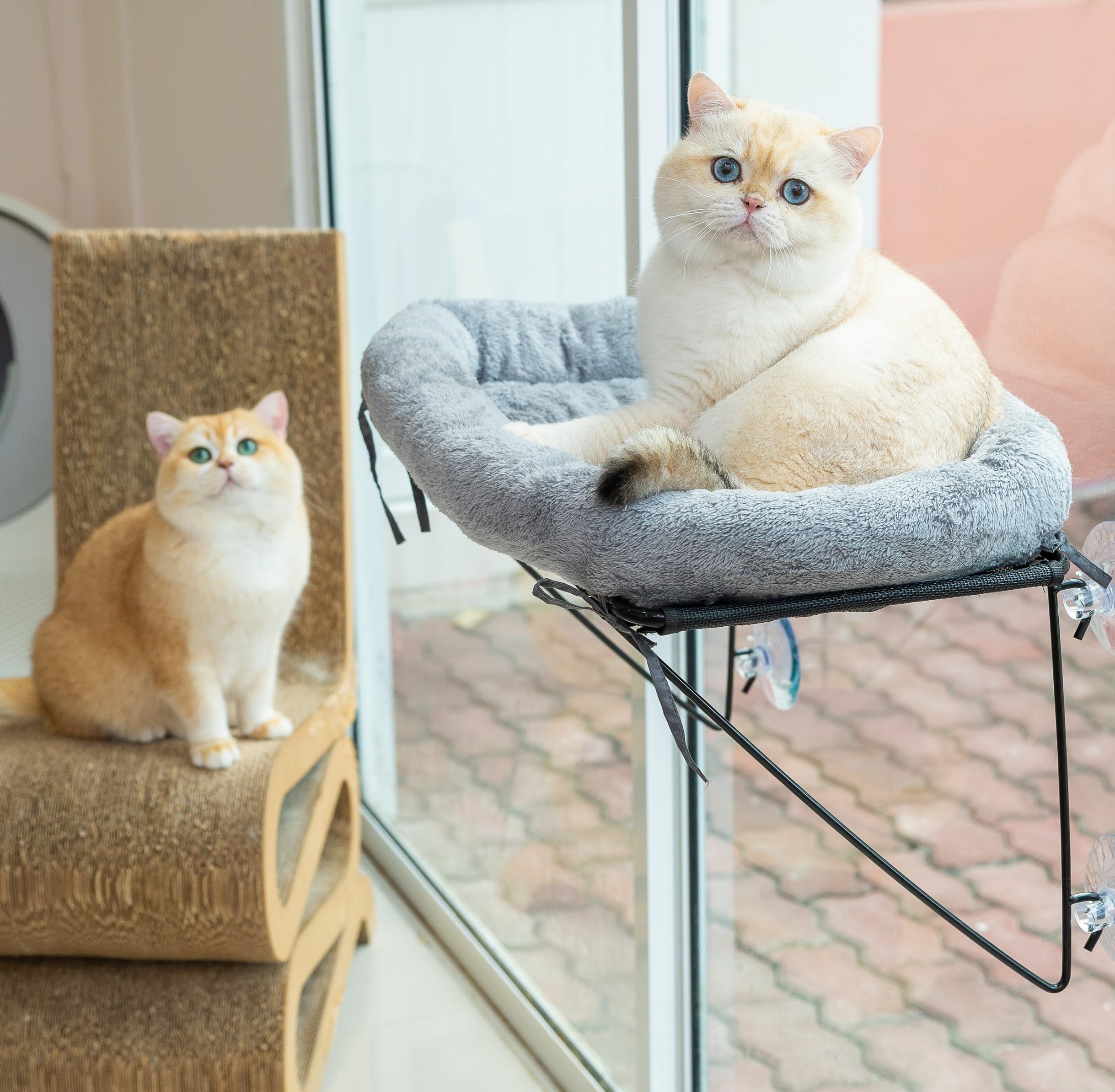Percha para ventana de gato, hamaca suave para gatos en el interior, ventana de percha para gatos, hamaca para ventana de gato, ventana de cama para gatos, 4 ventosas grandes, cómoda cama con ventana