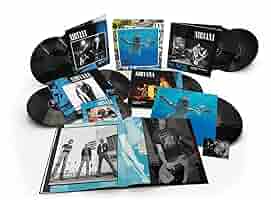 NIRVANA NEVERMIND 30th BOX 8LP+EP レコード NIRVANA NEVERMIND 30th BOX 8LP+EP レコード レコード