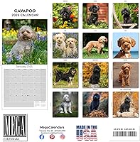 Vista 398 de Razas de Perros 2017