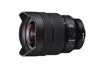 SONY - FE 12-24mm F4 G 【美品】 71nIaN5Fs+L._AC_SY200_QL15_.jpg