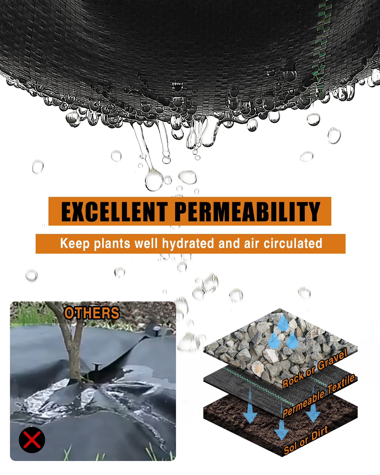 https://m.media-amazon.com/images/I/81tsQqBKsKL.jpg