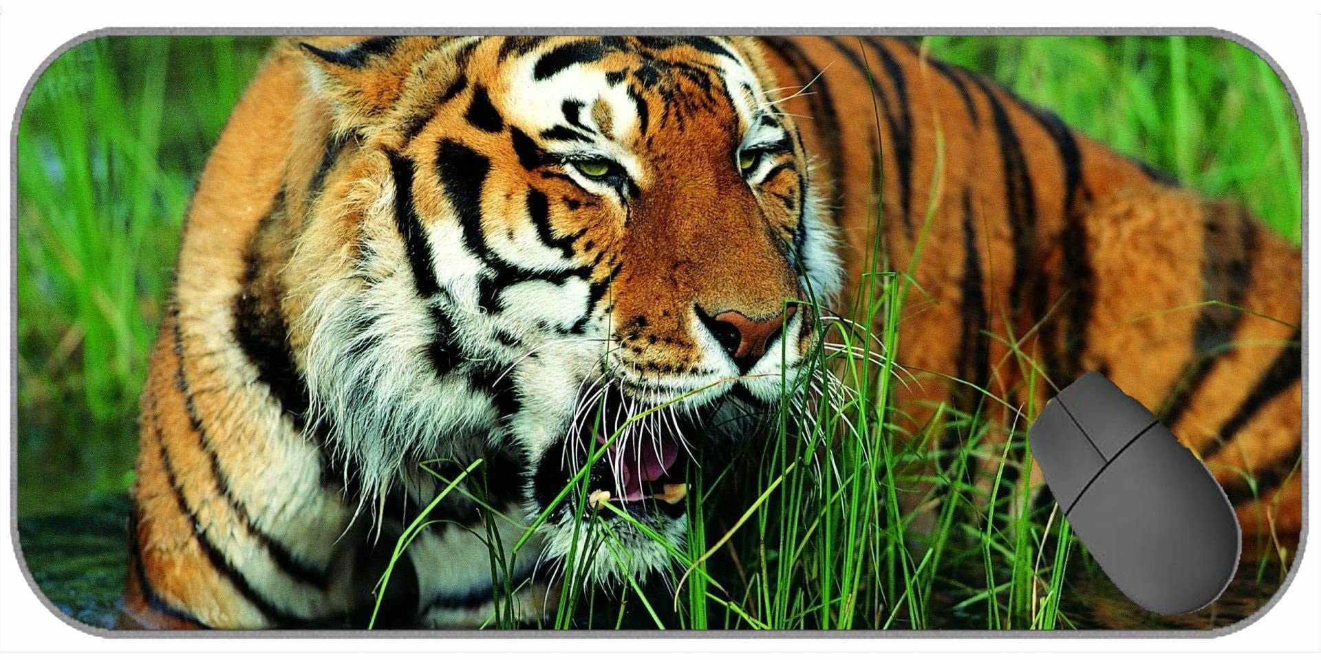 Extended Gaming Mouse Mat/Pad - Large, Tiger Grass Grin Big Cat 35907 Large Gaming Mat