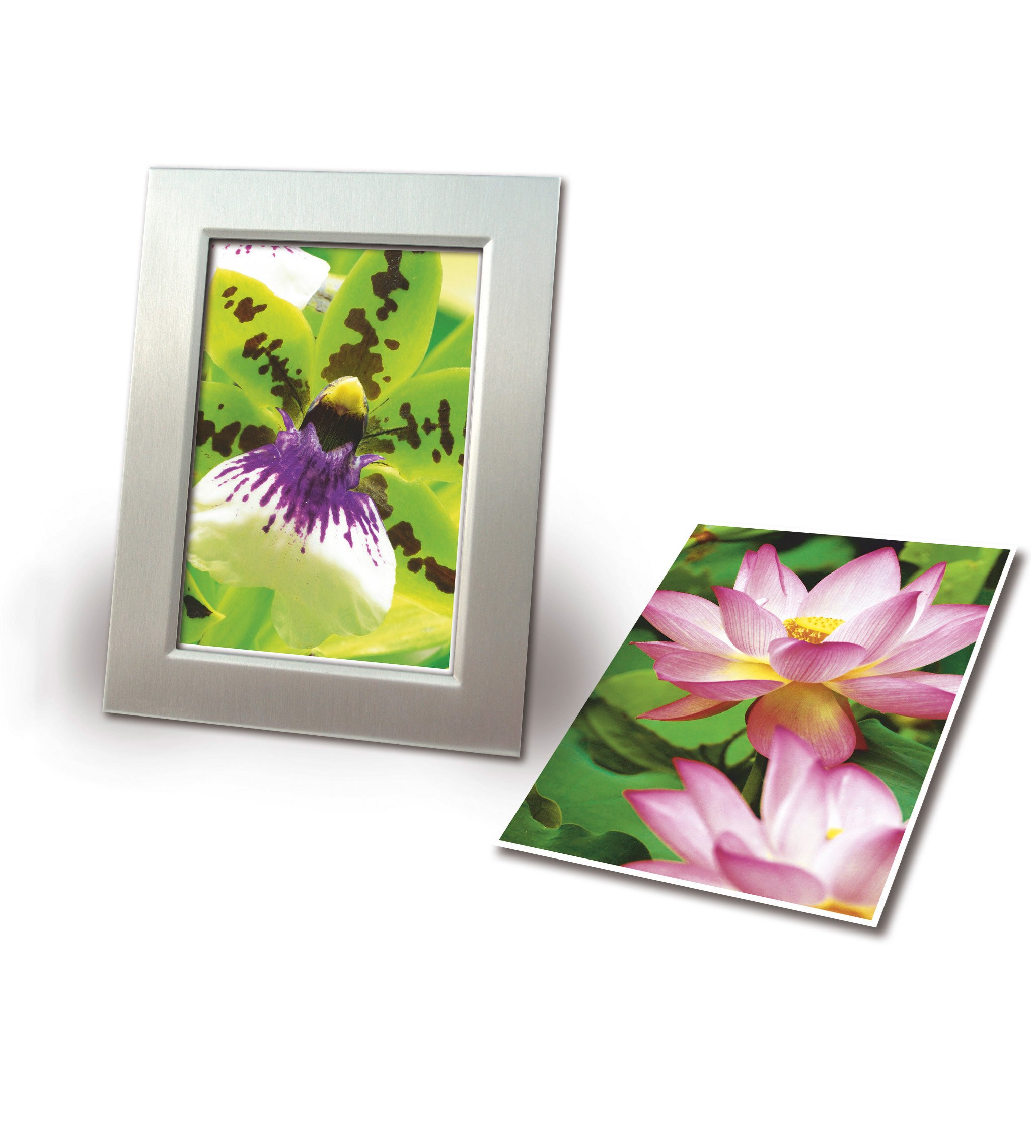 AVERY Zweckform 2739 Premium papier fotograficzny do drukarek atramentowych (A4, jednostronnie powlekany, wysoki połysk, 250 g/m², 40 arkuszy)