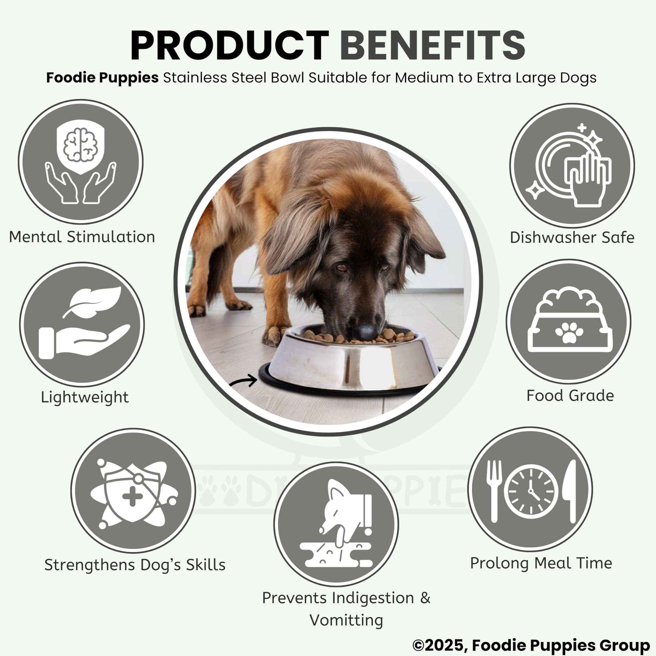 Foodie Puppies Pet Feeding Stainless Steel Bowl for Dogs, Cats & Any Pets - 1800ml, Large I Non-Skid Rubber Bottom Food/Water Bowl I Non-Toxic & 100% Safe for Pets 3