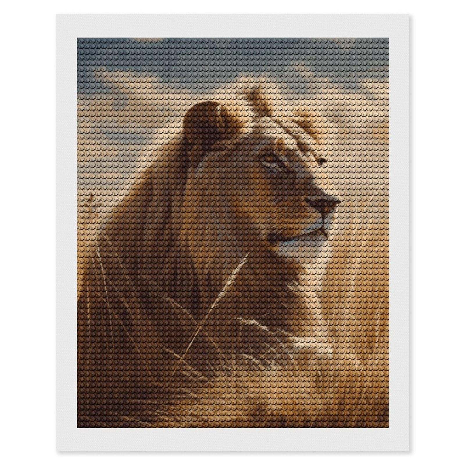 NONHAI Diamond Painting Kits for Adults - DIY Diamond Art Kits for Beginners - Full 5D Paint Drill Diamond Dots Paintings- Prairie Lion Diamonds Pictures Gem Art and Craft Wall Decor 16"x20"