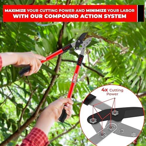 Miniatura 6 de TABOR TOOLS GG12A - Tijera de podar con yunque, acción compuesta, recortadora de árboles de 30 pulgadas, cortador de ramas gruesas con capacidad