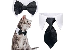 Bow Ties for Cats: Unleash Your Cat's Inner Sophistication