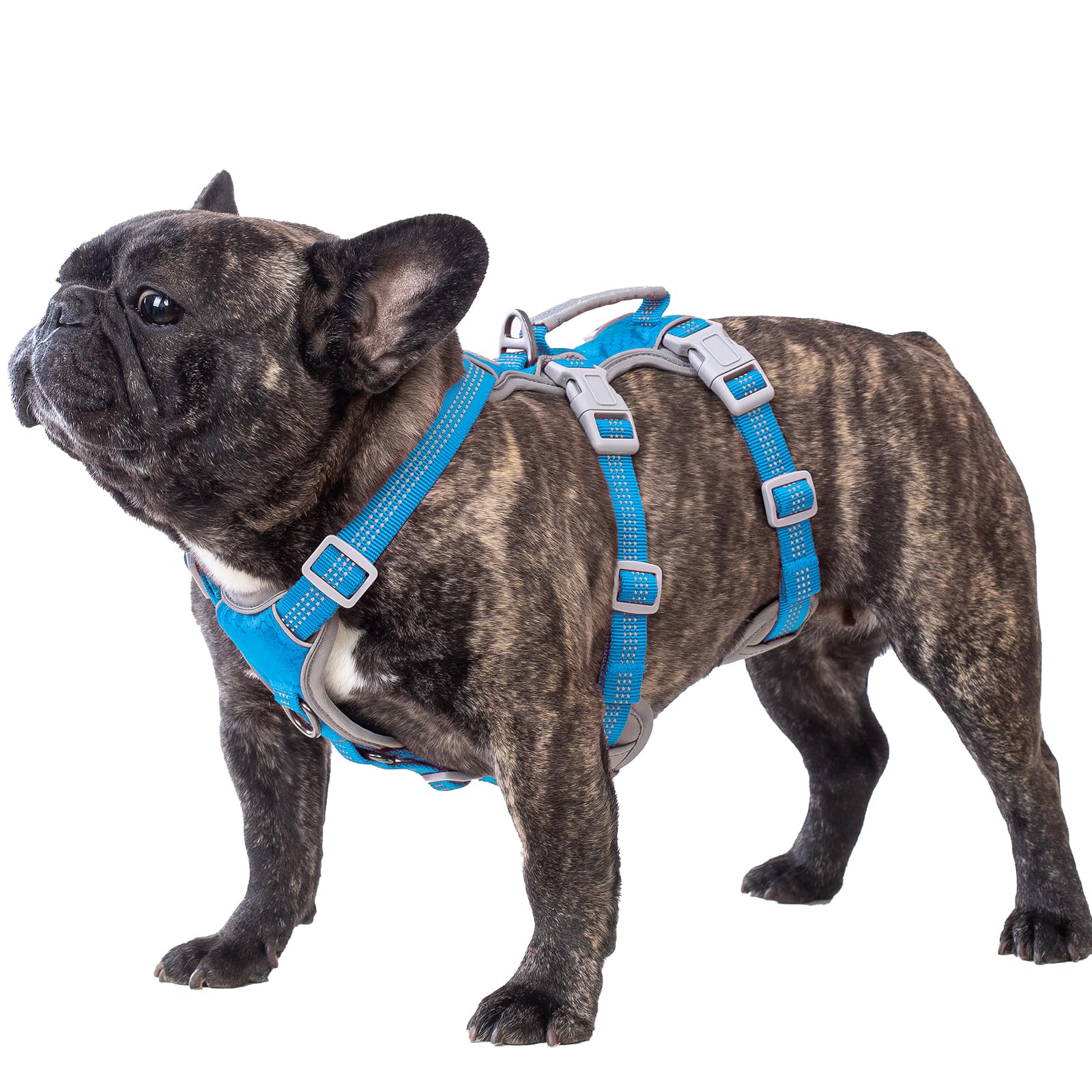 Huntboo Escape Proof Dog Harness, Escape Artist Harness, Reflective Harness with Padded Handle, Breathable, Durable, Adjustable Vest for Medium Dogs Walking, Training, and Running Gear (Blue, M)