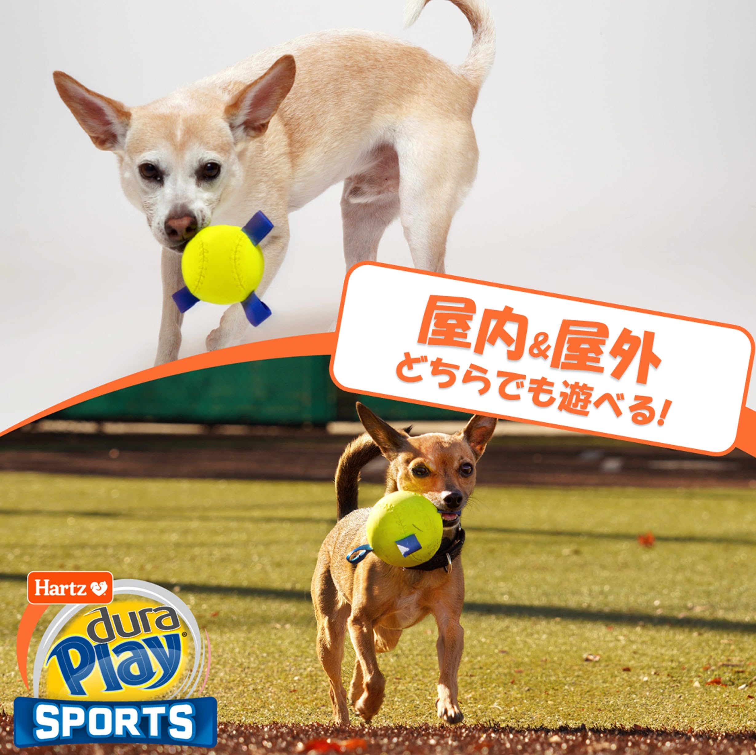 Amazon | Hartz(ハーツ) デュラプレイ SPORTS ベースボール ×3個 犬用