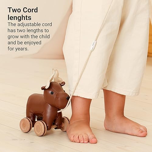 Miniatura 6 de Little Big Friends Pull Along Friends  Juguete para bebé  Juguetes tradicionales  Fácil de limpiar  Achille El Cocodile