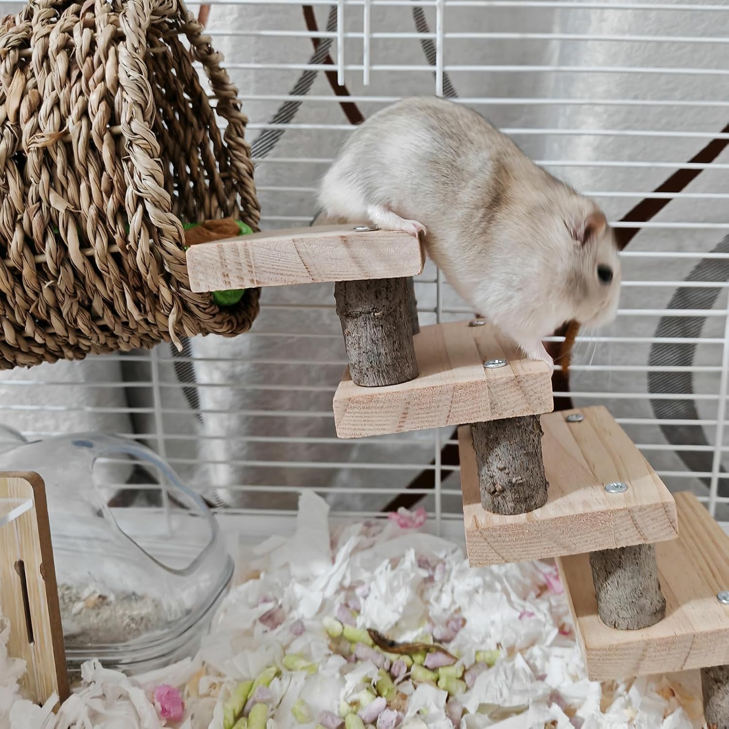 Hamiledyi Hamster Climbing Ladder Wood Stair and Hanging Hammock Set Wooden Molar Toys Cage Accessories for Syrian Hamster Gerbil Mice 4 81tsn6rhr4L. AC SL1500