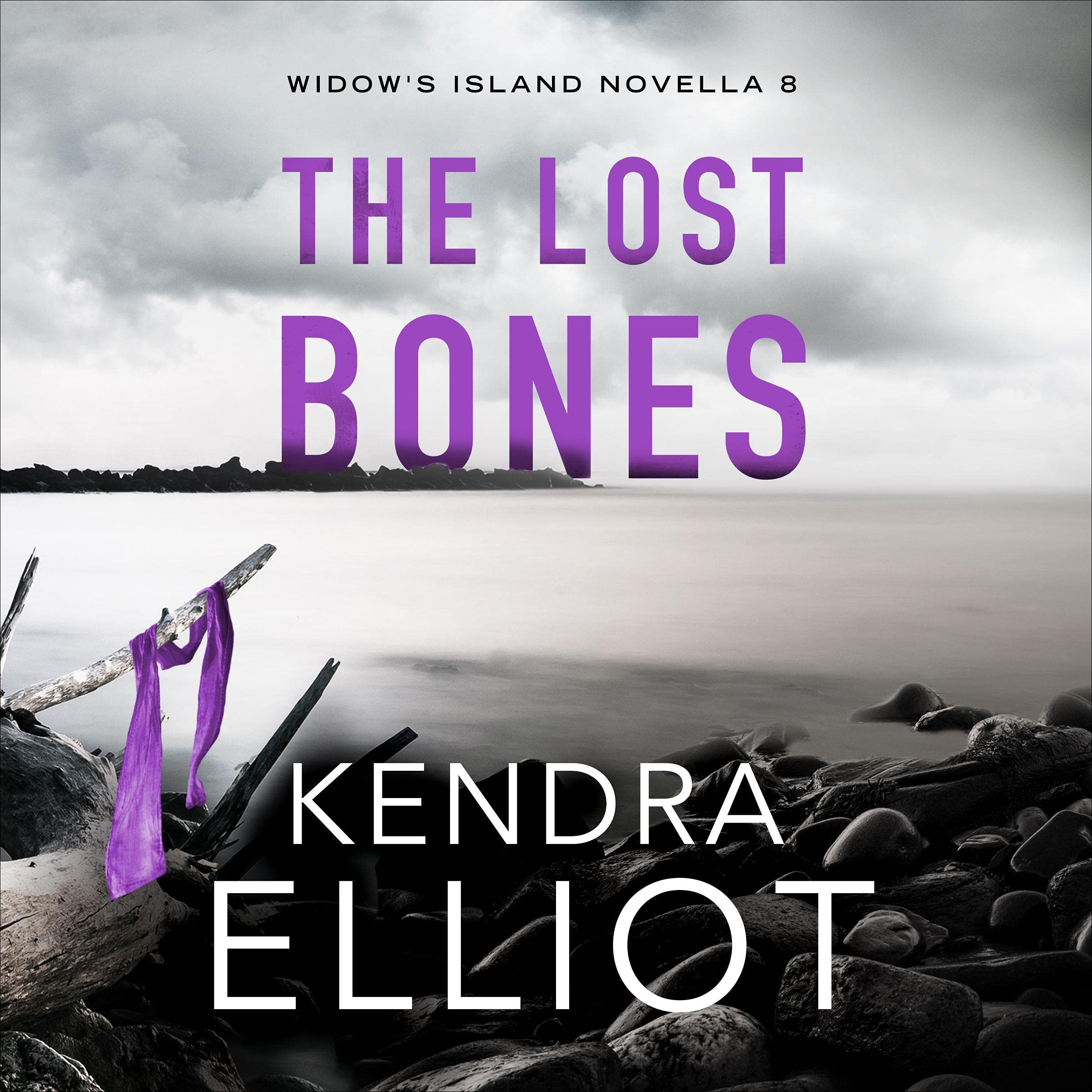 Cover art for The Lost Bones