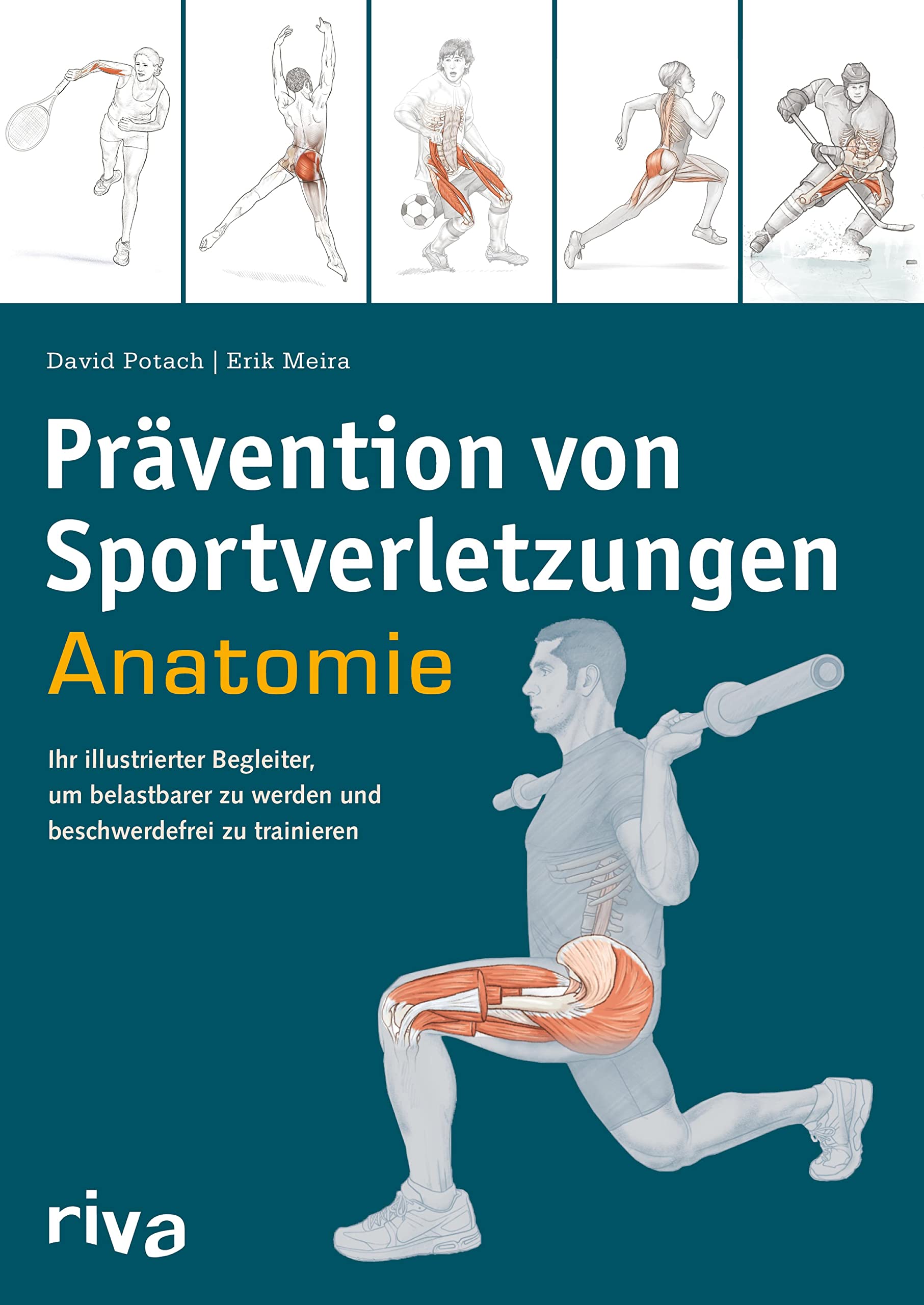 Prävention von Sportverletzungen – Anatomie: Ihr illustrierter Begleiter, um belastbarer zu werden und beschwerdefrei zu trainieren (Sportanatomie 6)