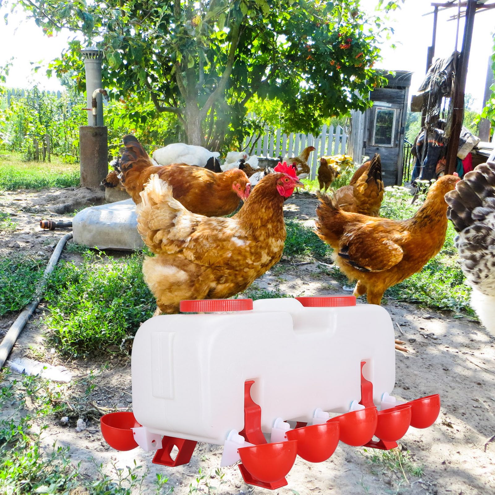 Bebedero para Pollos, 10 Tazas de Agua, Alimentador de Agua para Aves de Corral de Gran Capacidad, Llenado Superior Higiénico, Ergonómico para Pato (Fabaterxzv31fc7kp-12)