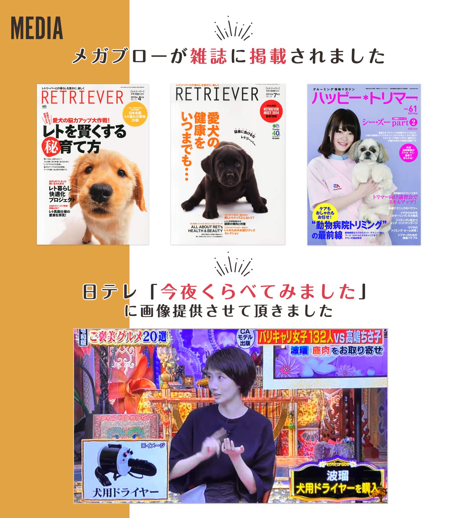 Amazon.co.jp: プロ愛用 発売13年 10年ユーザー多数 業務パワー 犬