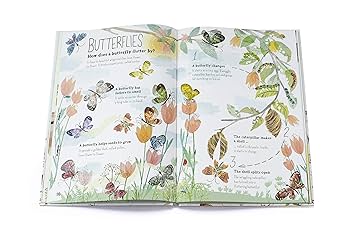 The Big Book of Bugs 他7冊セット Thames & Hudson USA - Book - The Big Book of Bugs