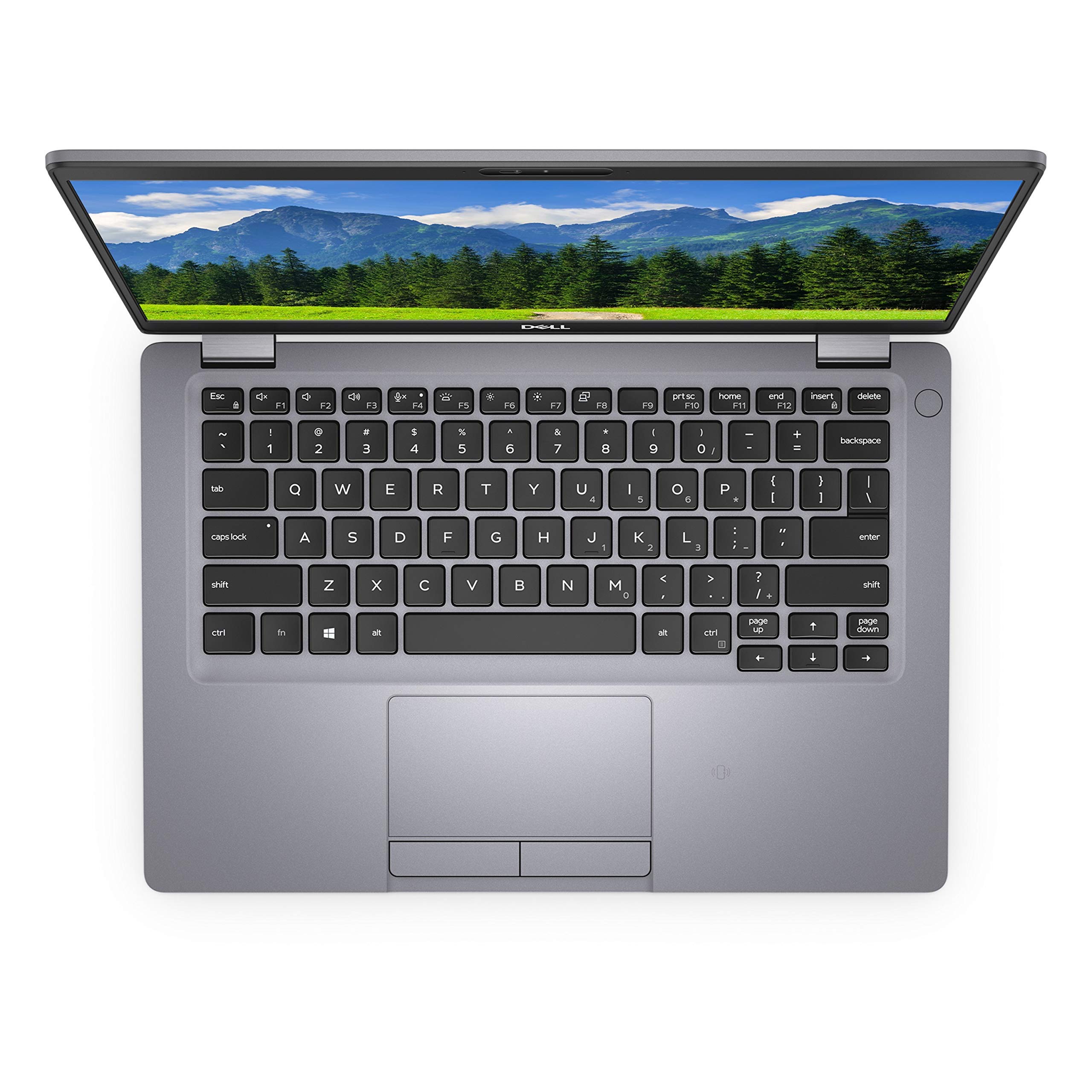 Amazon.com: Dell Latitude 5310 13.3