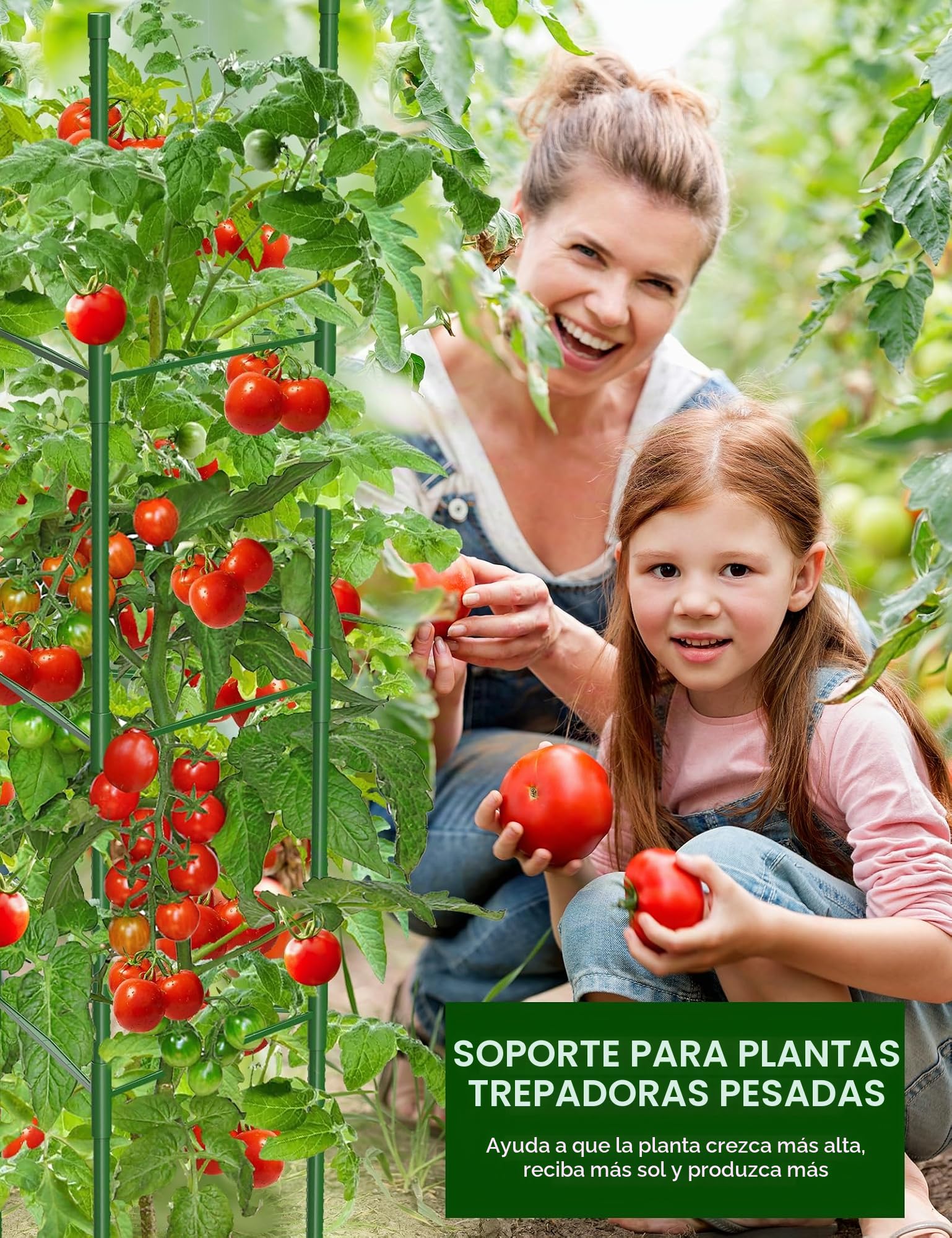 Jaulas de Tomate de Jardín, 130 cm Enrejado para Tomates Soporte Plantas Trepadoras Interior Exterior para Parterres Elevados, Verduras, Flores y Plantas Trepadoras 6 Piezas