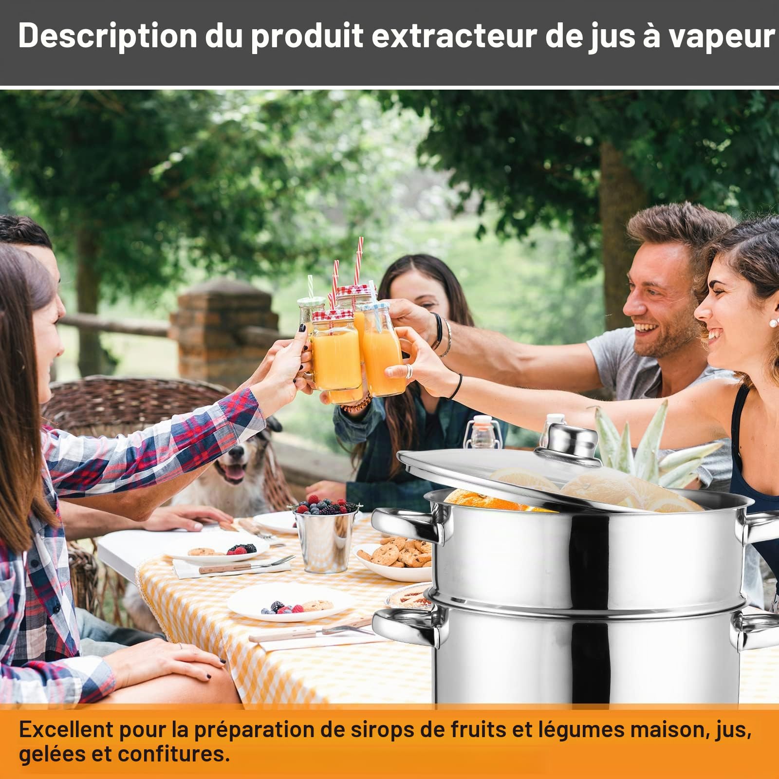 8L Extracteur de jus à Vapeur, Extracteur de jus pour Fruits et légumes, convient à tous les types de cuisinières, y compris l'induction, INOX | Ø 26 cm