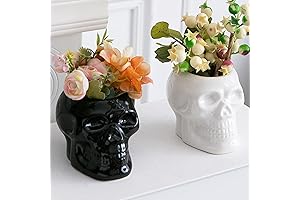 Skull Planter Skeleton Candy Bowl