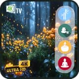 Bucle continuo en 4K de un bosque encantado