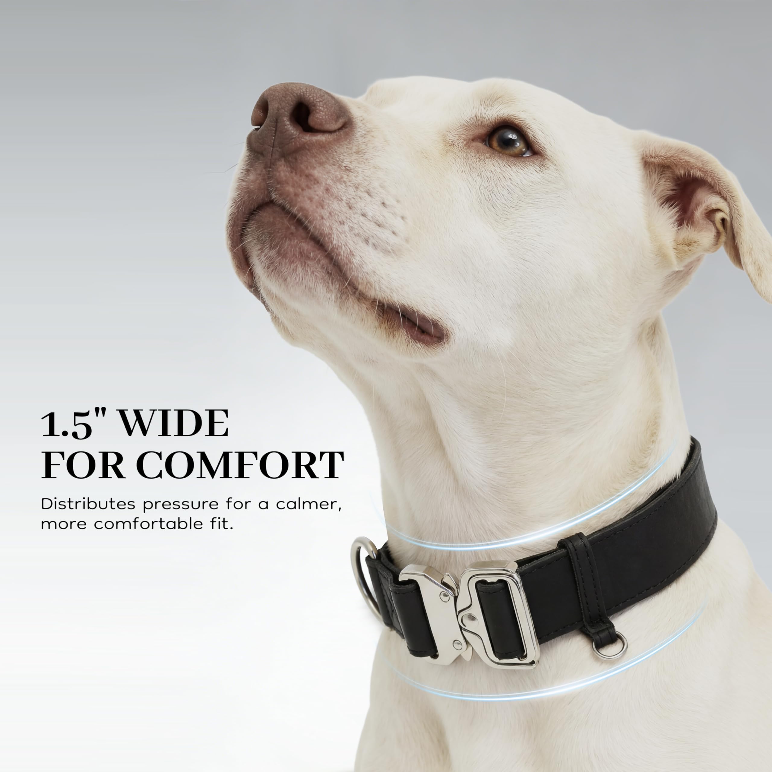 Collare per cani in pelle largo 3,8 cm, a sgancio rapido e design