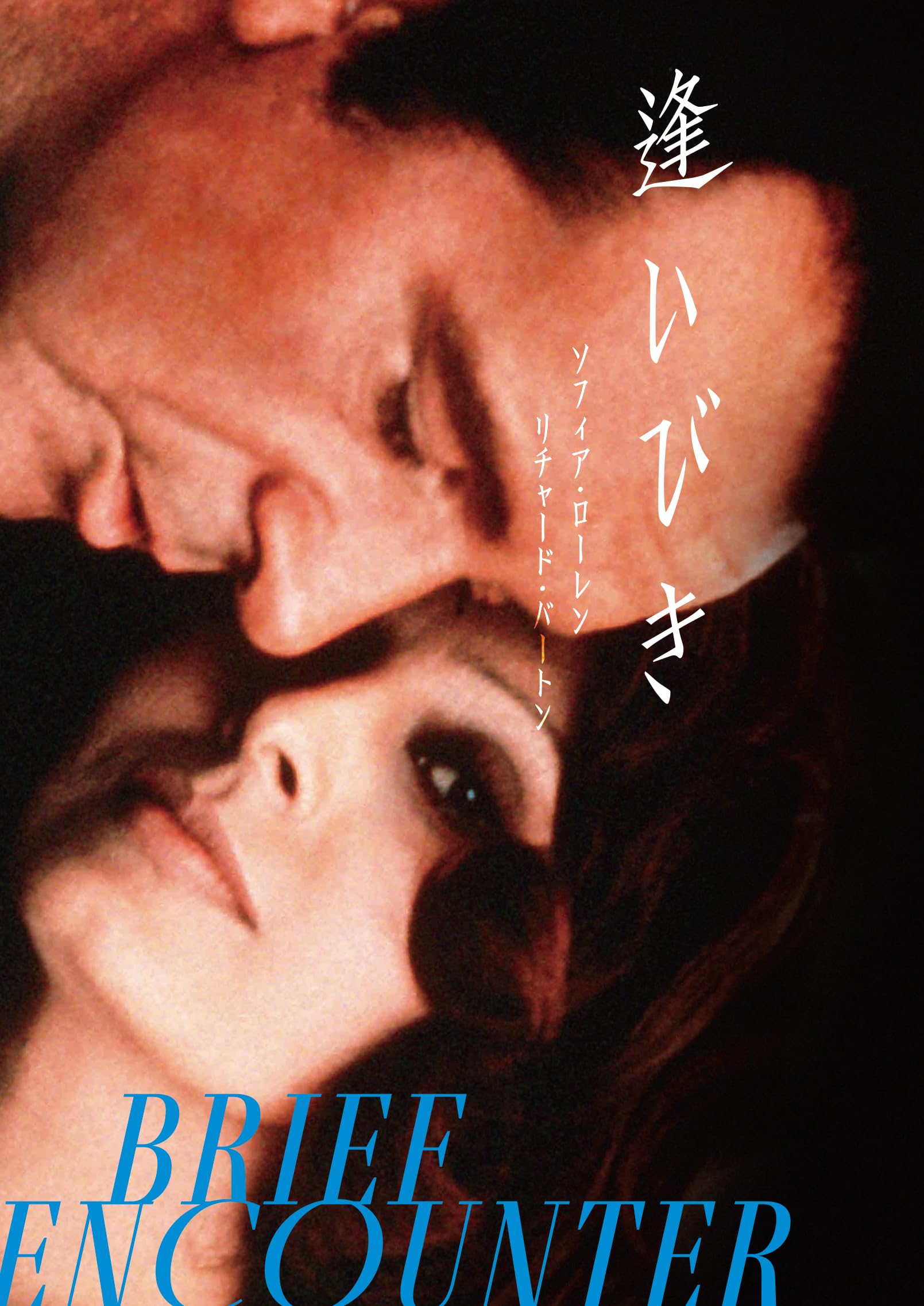 (レア)映画パンフレット　「殿方ごろし」　ソフィア・ローレン 2025年最新】#ソフィアローレンの人気アイテム - メルカリ