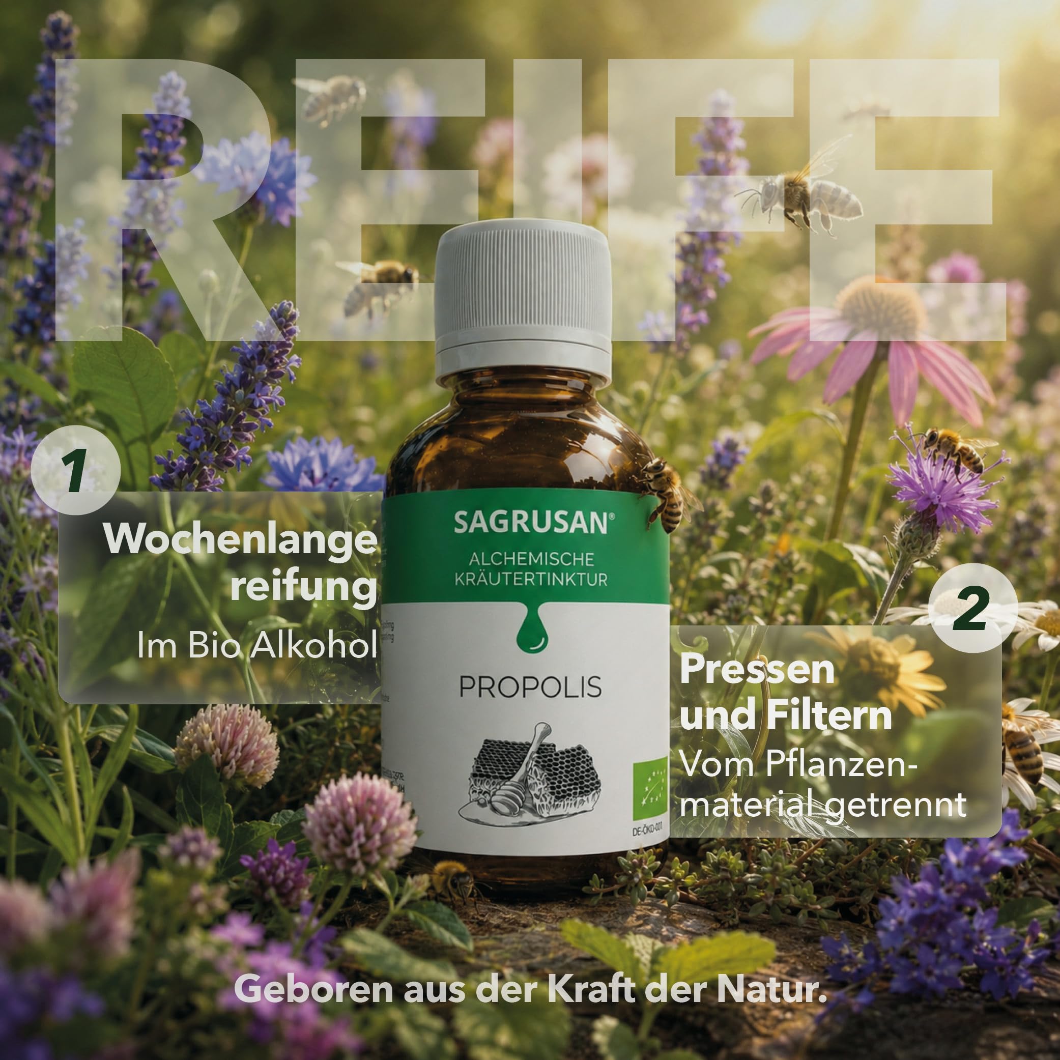 Propolis Tinktur Bio SAGRUSAN 100 ml – Bio Propolis Extrakt vegan aus biologischer Imkerei, alkoholischer Propolis Auszug naturreine Propolis Tropfen im Braunglas aus Österreich | 10 Jahre MHD