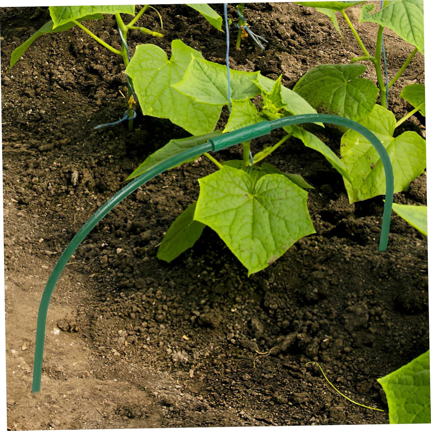 4Sets Greenhouse Hoops Arch Shaped Plant Support for Gardening Protects Plants from Birds and Frost Durable and Reusable Garden Accessories