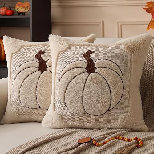 Allorry Fall Pillow Covers 18x18 2 Pack Beige Pumpkin Home