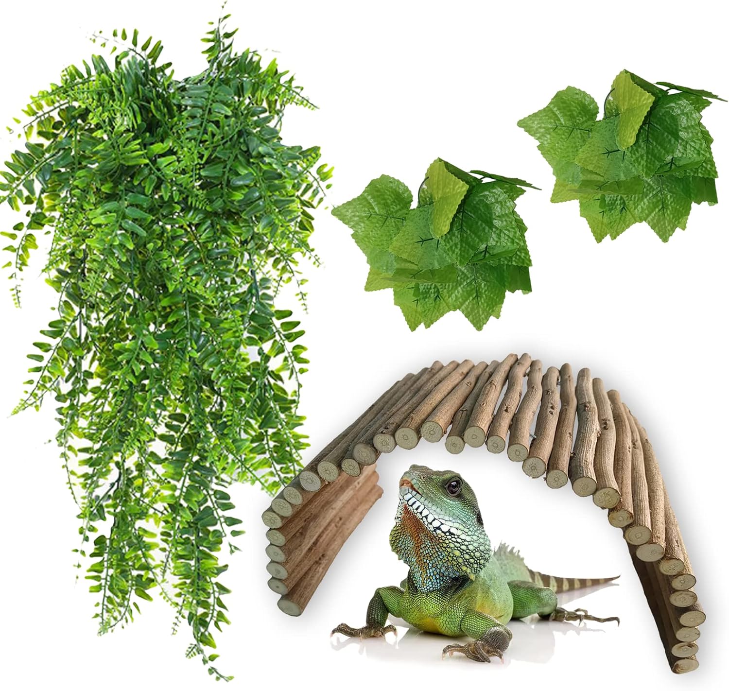 Freiomyi Bearded Dragon Hideout Reptiles Wooden Bridge