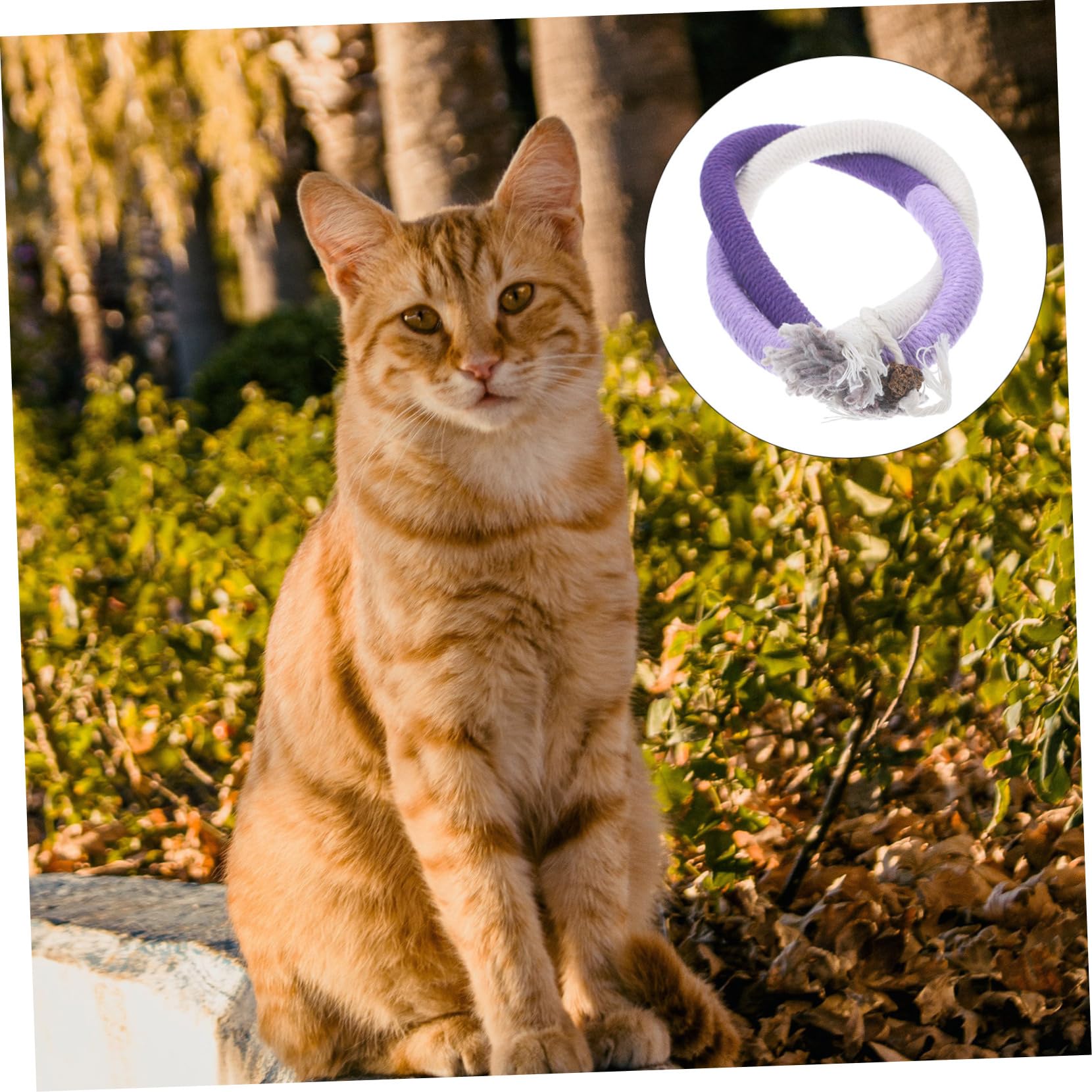 BESPORTBLE 5sets Katzenspielzeug Seil Interaktives Für Indoor-Katzen Kauen Beißen Katzenspielzeug Für Katzen 3 Stücke * 5
