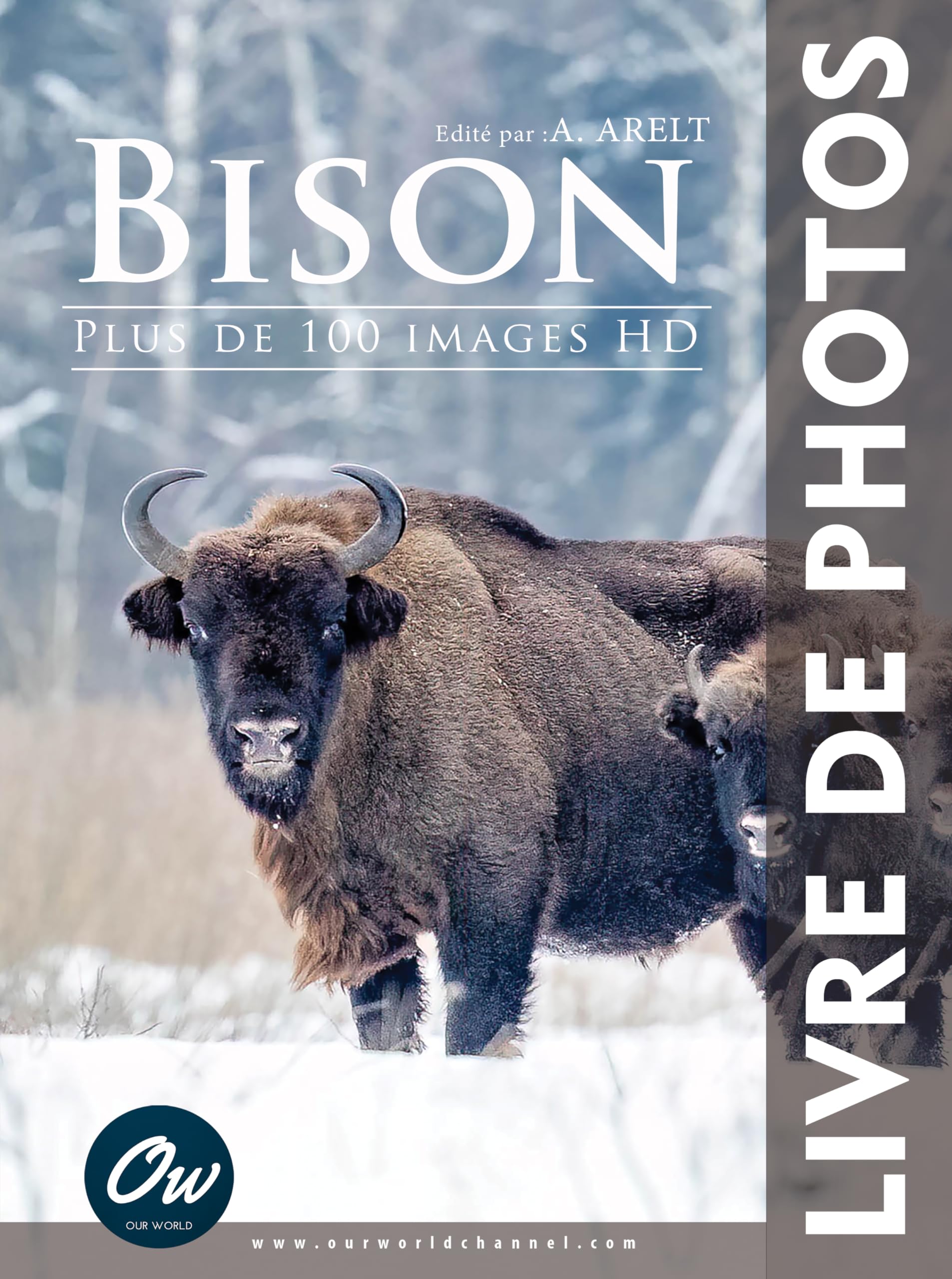 Bison : Livre de Photos HD contenant plus de 100 images d'art sauvage