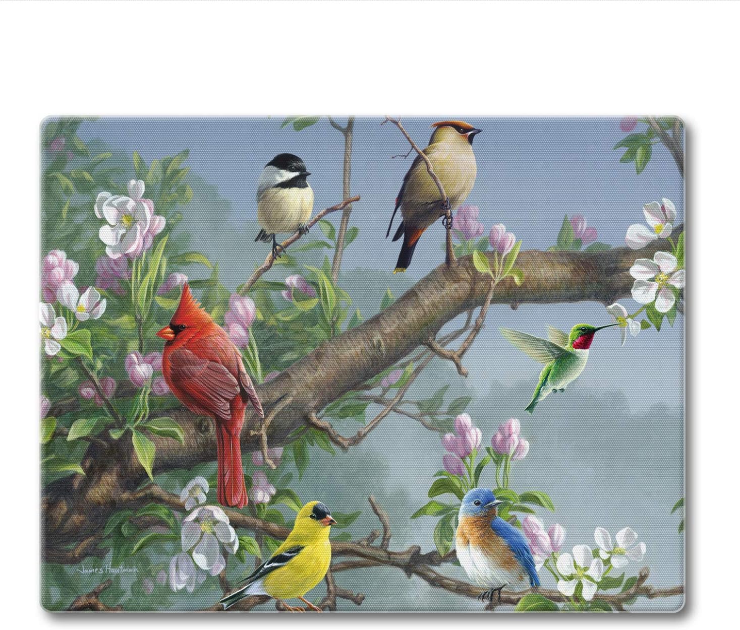 CounterArt Beautiful Songbirds 3mm Tempered Glass Cutting Board 10” x 8” Charcuterie Board Cheese Board Bar Board Dishwasher Safe