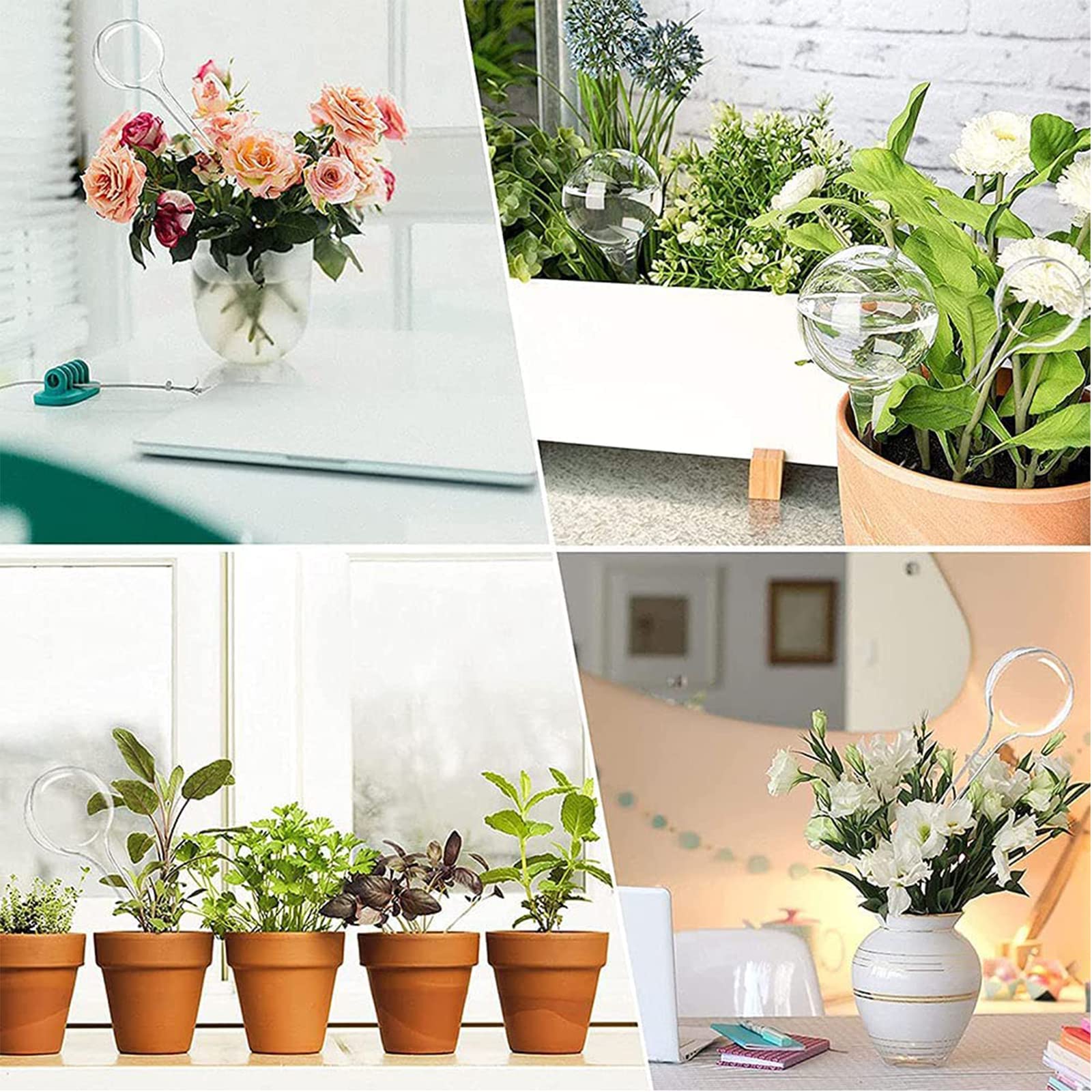 Weciau Waterballen voor planten, 6 stuks irrigatiebal, 500 ml