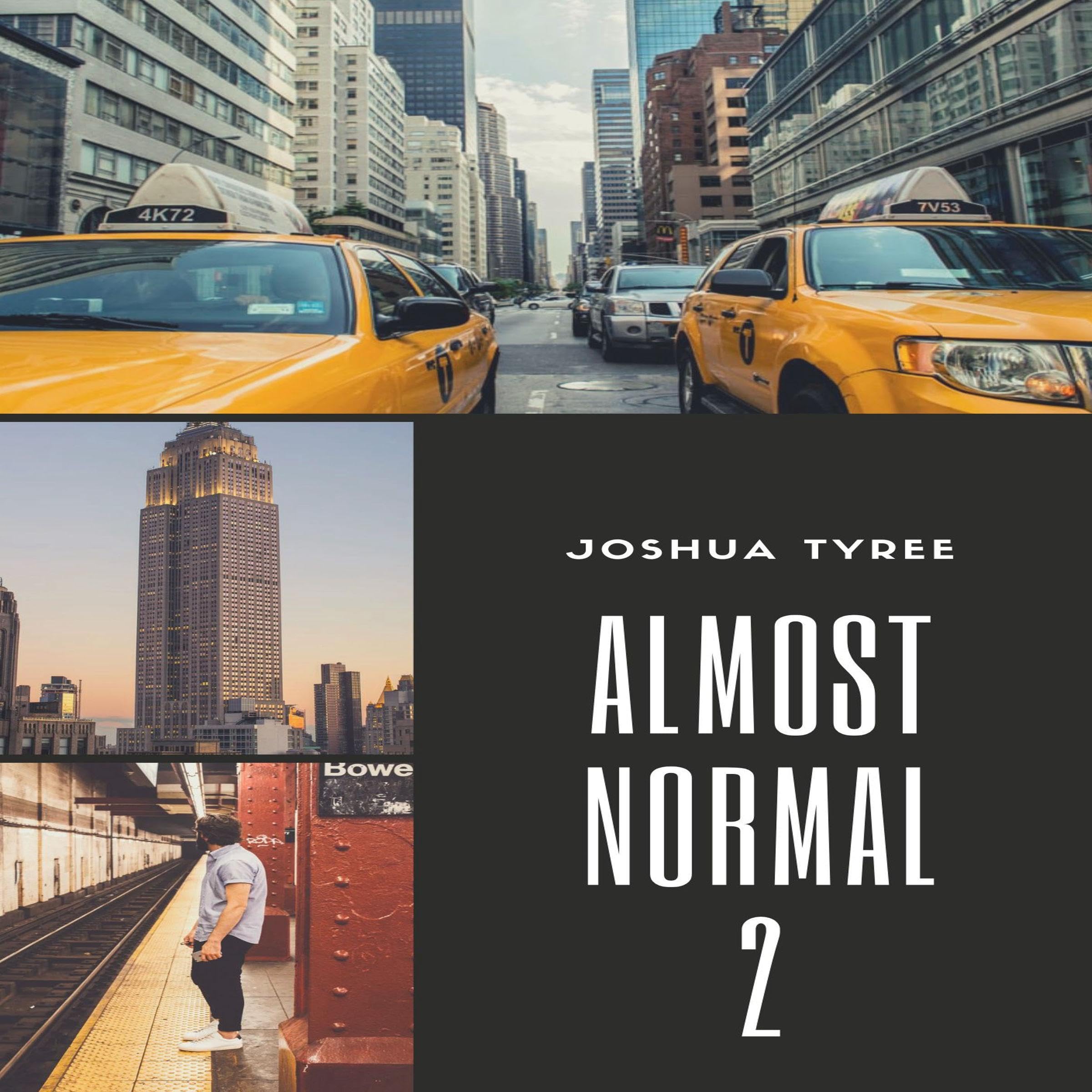 Cover art for Almost Normal 2