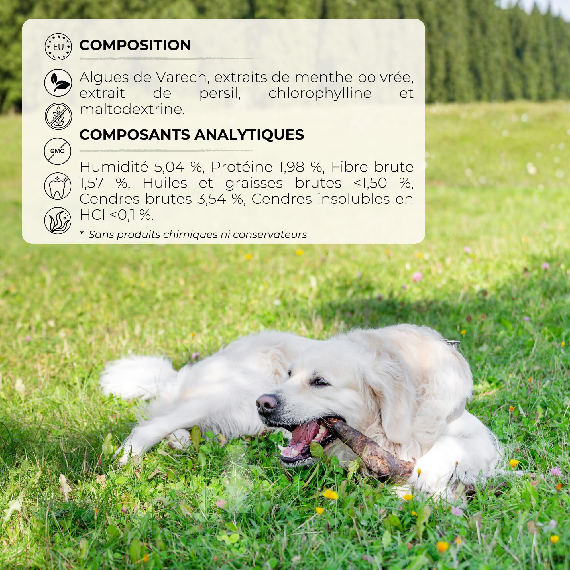 Poudre Anti Mauvaise Haleine Chien et Chat avec Algues Kelp et Chlorophylline, Remède Naturel Anti Tartre Chien et pour Réduire la Plaque Dentaire, Alternative au Dentifrice