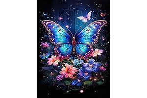 5D Diamond Art Kits for Adults - Butterfly Perfection