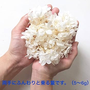 Amazon.co.jp: プリザーブドフラワー ピラミッドアジサイ グリーン系3
