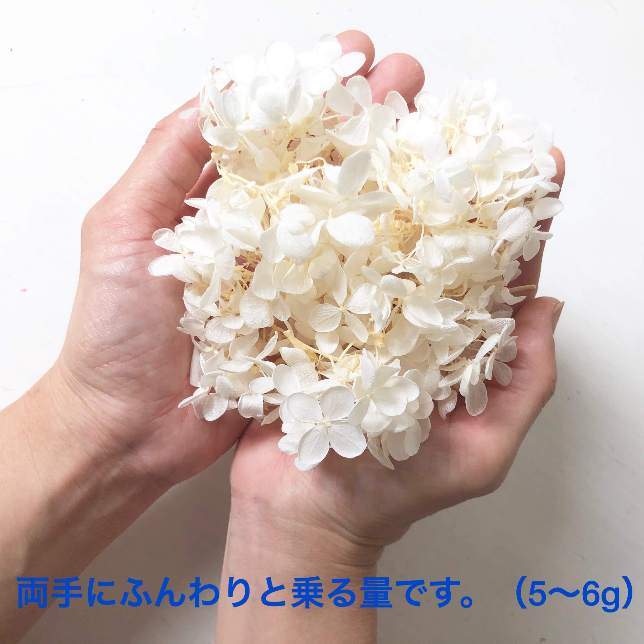 Amazon.co.jp: プリザーブドフラワー ピラミッドアジサイ バジル