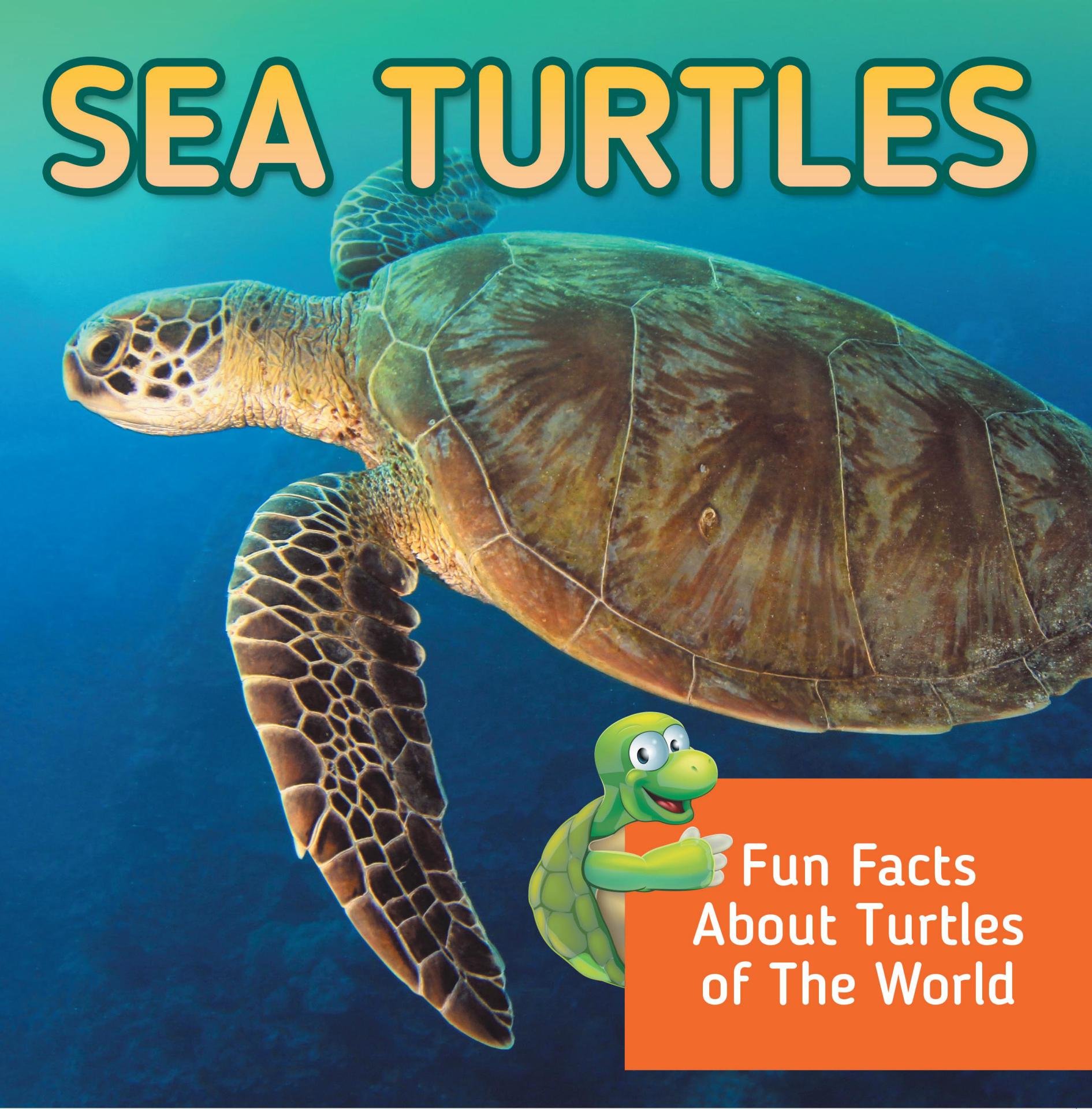 Buy Sea Turtles Fun Facts About Turtles of The World Marine Life and