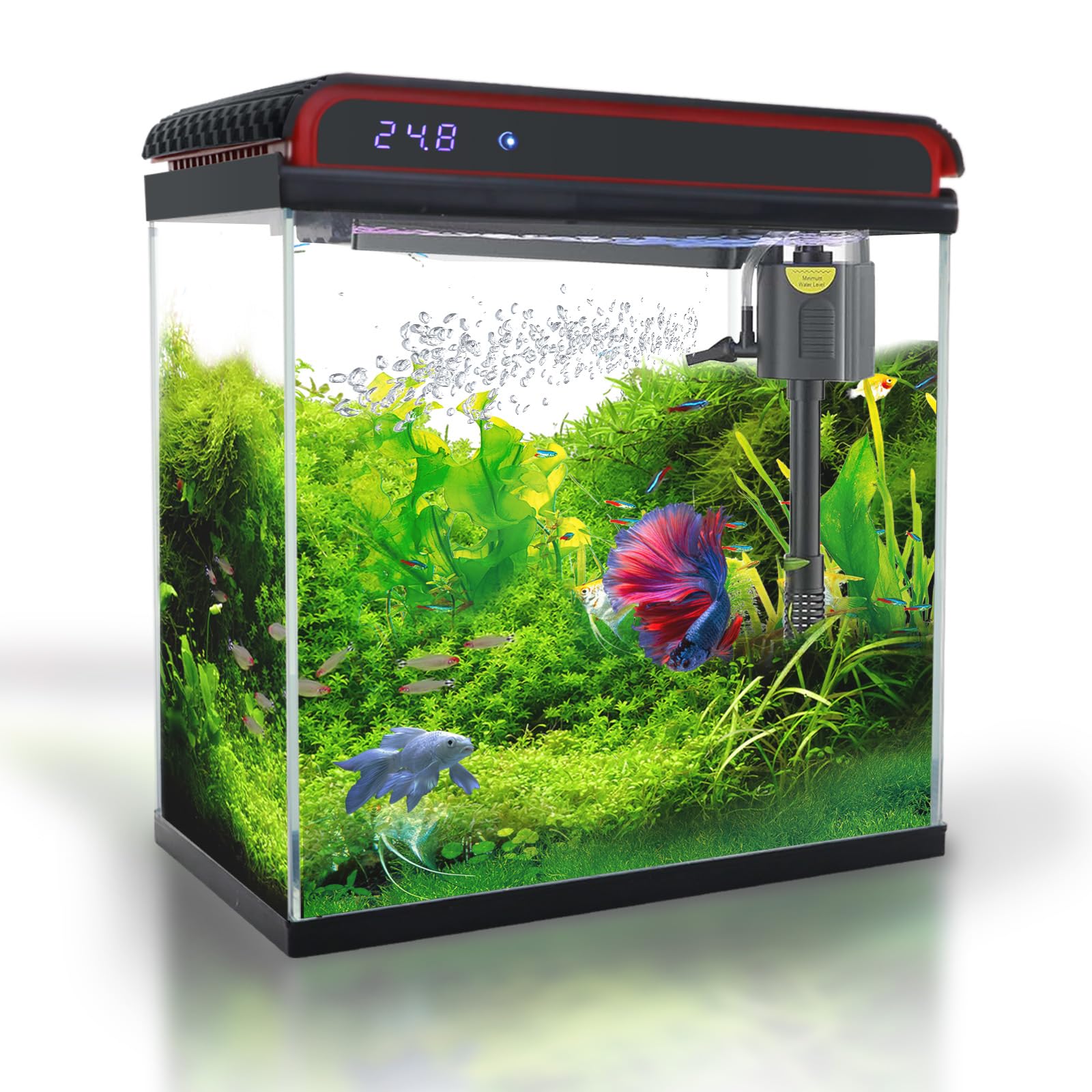 COOSPIDER 5 Gallon Self-Cleaning Starter Kit