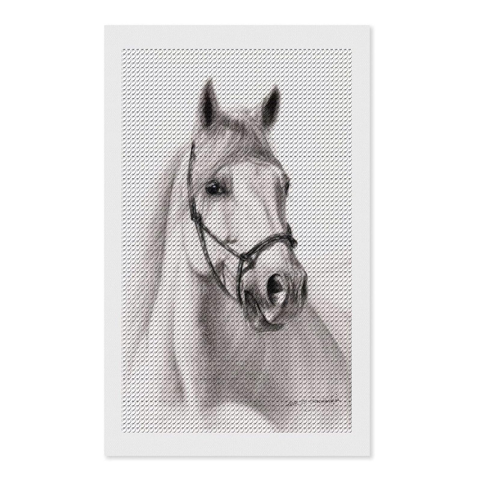 Junmoney Shadow Diamond Art Canvas 12"x20", for Adults, Pleasing Wall Art Project, Modern Decor, Gift Idea, Nice Detail and Sparkle