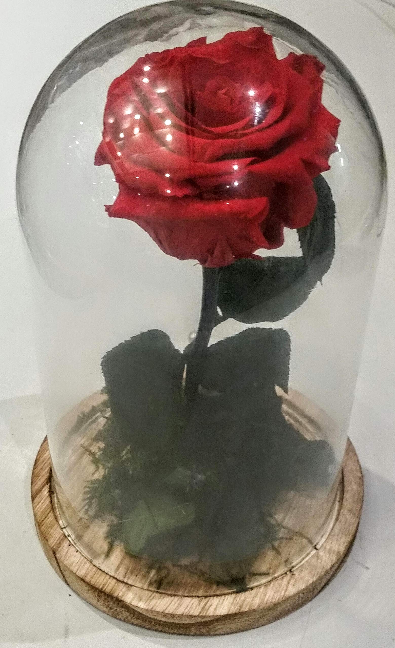 Bell with Natural Preserved Rose, Customisable