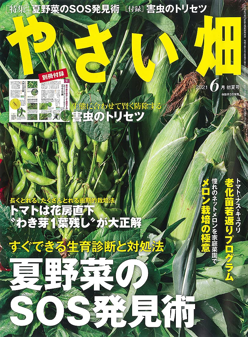 やさい畑 初夏号 21年 6月号