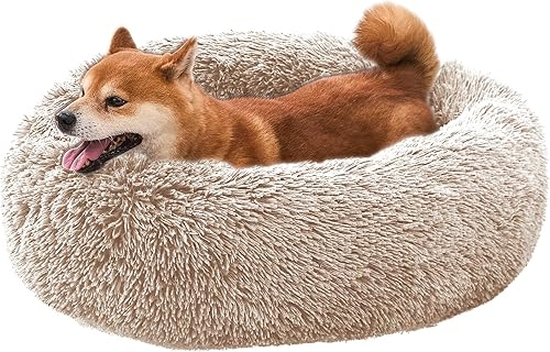 Miniatura 12 de Comfort Donut - Cama para perros pequeños, cama para gatos y cama para mascotas para uso en interiores, tamaño mediano con felpa suave, camas