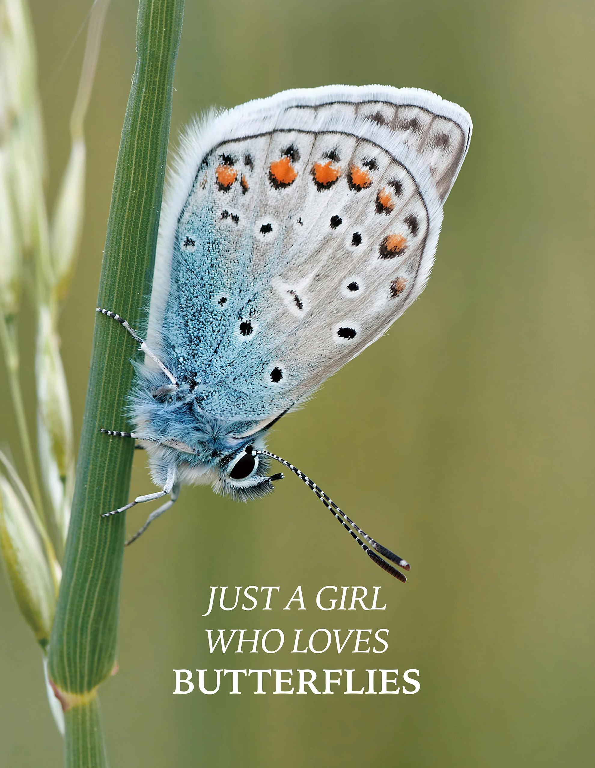 Butterfly Lover Gifts Women, Butterflies Journal 200 Pages Notebook A5 Lined with Pen and Keychain, Butterfly Inspirational Themed Gifts for Her Daughter Mom Birthday Retirement Christmas