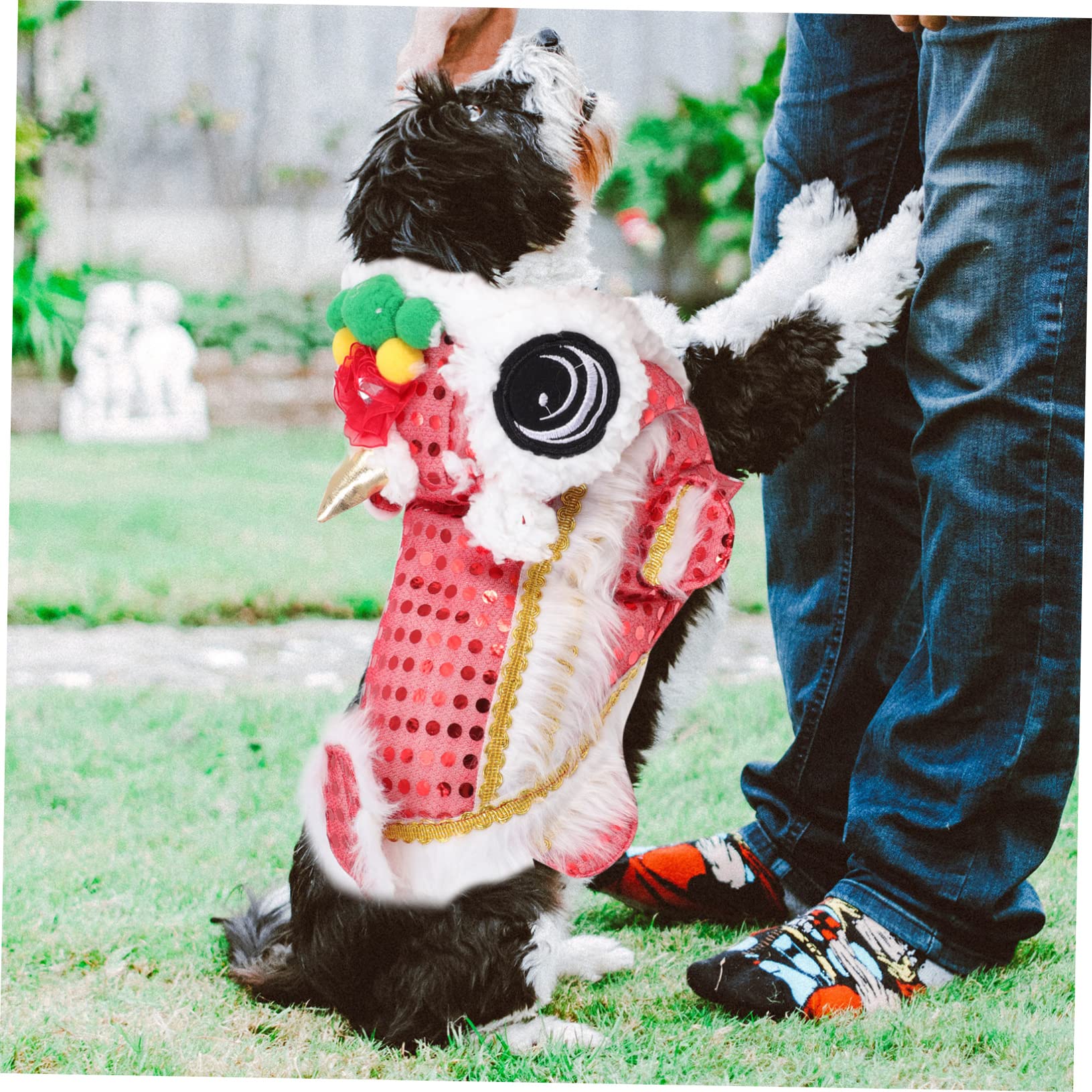 Kisangel 2stücke Cartoon Hundekostüm Für Neujahr Rotes Löwenkostüm Für Haustiere Festliche Hundekleidung Für Partys Süßes Outfit Für Hunde Und Welpen Für Feste Und Feiern