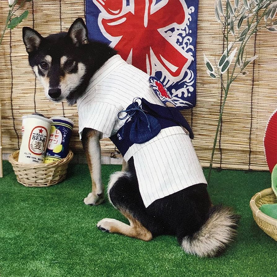 犬の浴衣✨犬用本格本染浴衣 S グレージュ×黒 男の子 角　角帯 ゆかた 犬服 022e1182516bdb289112e341e51add